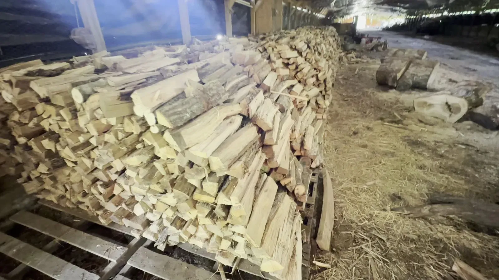 Rows of split firewood stacked on pallets inside the barn